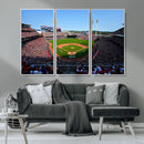 Cincinnati Reds Baseball Canvas Print - American Ball