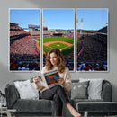 Cincinnati Reds Baseball Canvas Print - American Ball