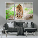 Leopard on the Prowl - Stunning Large Framed Leopard Wall