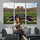 Football Stadium Wall Art – Framed Sports Field Canvas