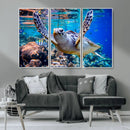 Underwater Sea Turtle Wall Art Canvas Print – Vibrant Ocean