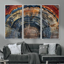 Abstract Tree Ring Wall Art Canvas Print – Colorful Framed