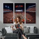 Texas Stadium Night Game Wall Art Canvas Print – Vibrant