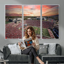 Indiana Memorial Stadium Wall Art Canvas Print, Framed