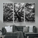 Black and White Old Angel Oak Tree Wall Art Canvas Print