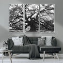 Ancient Oak Wall Art Canvas Print – Gnarled Tree Twisted by MyGreatCanvas | Canvas Wall Art Prints | Photo Prints & Wall Decor