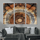 Tree Rings Wall Art Canvas Print – Rustic Wood Texture