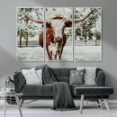 Texas Longhorn Wall Art Canvas Print – Framed Spotted Bull