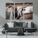 Texas Longhorn Wall Art Canvas Print – Framed Spotted Bull