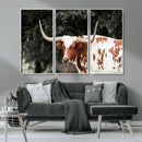 Texas Longhorn Wall Art Canvas Print – Framed Spotted Bull