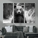 Grizzly Bear Wall Art Canvas Print – Framed Black White