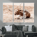Texas Longhorn Wall Art Canvas Print – Framed Resting Bull by MyGreatCanvas | Canvas Wall Art Prints | Photo Prints & Wall Decor