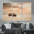 MyCanvas -