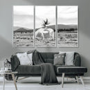 White Horse Wall Art Canvas Print – Framed Woman Rider
