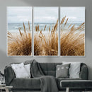 Beach Grass Wall Art – Framed Coastal Dunes Canvas Artwork, by MyGreatCanvas | Canvas Wall Art Prints | Photo Prints & Wall Decor