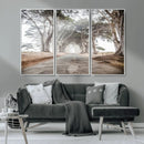 Cypress Tunnel Wall Art – Framed Misty Road Canvas Artwork, by MyGreatCanvas | Canvas Wall Art Prints | Photo Prints & Wall Decor