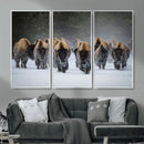 Bison Herd Wall Art Canvas Print, Framed Rustic Wildlife by MyGreatCanvas | Canvas Wall Art Prints | Photo Prints & Wall Decor
