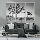Joshua Tree Wall Art Canvas Print – Framed Monochrome Desert