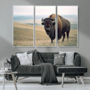 Bison Wall Art Canvas Print – Framed Buffalo American Bison