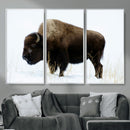 Bison Wall Art Canvas Print – Framed Western Wildlife by MyGreatCanvas | Canvas Wall Art Prints | Photo Prints & Wall Decor