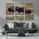 Bison Wall Art Canvas Print – Framed Western Wildlife Modern by MyGreatCanvas | Canvas Wall Art Prints | Photo Prints & Wall Decor