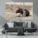 Texas Longhorn Wall Art Canvas Print – Framed Country Living