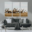 Elk Herd Wall Art Canvas Print – Framed Wildlife Photography