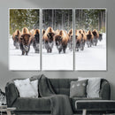 American Bison Herd Wall Art Canvas Print – Powerful Winter by MyGreatCanvas | Canvas Wall Art Prints | Photo Prints & Wall Decor