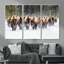 Bison Herd Scene Wall Art Canvas Print – Framed Western by MyGreatCanvas | Canvas Wall Art Prints | Photo Prints & Wall Decor