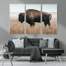 American Bison Wall Art Canvas Print – Majestic Buffalo
