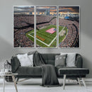 Chicago Bears Soldiers Field Wall Art Canvas Print – Framed