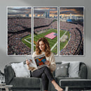 Chicago Bears Soldiers Field Wall Art Canvas Print – Framed