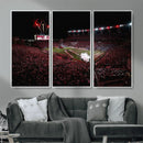 William Brice Stadium Wall Art Print – Baseball Game Room by MyGreatCanvas | Canvas Wall Art Prints | Photo Prints & Wall Decor
