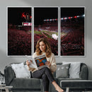 William Brice Stadium Wall Art Print – Baseball Game Room