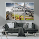 Sakura Cherry Blossom Pathway Canvas Wall Art – Tranquil