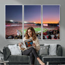 Dooley Stadium Wall Art, Sports Arena Canvas Print, Dooley