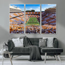 Tennessee Neyland Stadium Wall Art, Sports Arena Canvas by MyGreatCanvas | Canvas Wall Art Prints | Photo Prints & Wall Decor