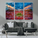 Tennessee Neyland Stadium Wall Art, Sports Arena Canvas by MyGreatCanvas | Canvas Wall Art Prints | Photo Prints & Wall Decor