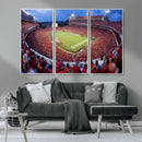 Dooley Stadium Wall Art, Sports Arena Canvas Print, Dooley by MyGreatCanvas | Canvas Wall Art Prints | Photo Prints & Wall Decor