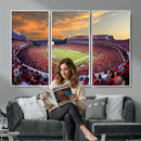 Dooley Stadium Wall Art, Sports Arena Canvas Print, Dooley