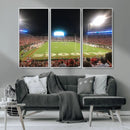 Dooley Stadium Wall Art, Sports Arena Panoramic Canvas by MyGreatCanvas | Canvas Wall Art Prints | Photo Prints & Wall Decor