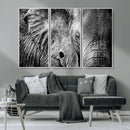 Wild Old Elephant Wall Art Canvas Print