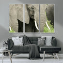 Wild Elephant Wall Art Canvas Print by MyGreatCanvas | Canvas Wall Art Prints | Photo Prints & Wall Decor