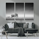 Elephand and Zebra Wall Art Canvas Print, Modern Artwork