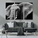 Big Elephant Close Up Wall Art Canvas Print