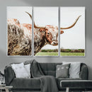 Texas Catle Longhorn Wall Art Canvas Print for Farmhouse by MyGreatCanvas | Canvas Wall Art Prints | Photo Prints & Wall Decor