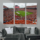 Auburn Stadium Wall Art Canvas Print, Jordan Hare Stadium by MyGreatCanvas | Canvas Wall Art Prints | Photo Prints & Wall Decor