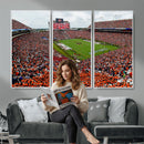 Auburn Stadium Wall Art Canvas Print, Jordan Hare Stadium