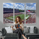 Georgia Bulldogs Stadium Wall Art Canvas Print, Sanford