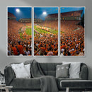 Clemson Tigers Memorial Stadium Wall Art Canvas Print by MyGreatCanvas | Canvas Wall Art Prints | Photo Prints & Wall Decor